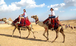 Camel Ride at Giza Pyramids
