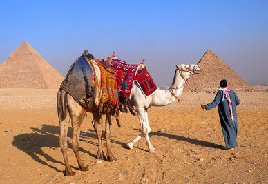 Giza Pyramids, Egypt and petra tours