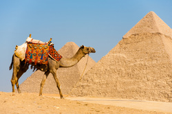 Pyramids of Giza, Port Said Port