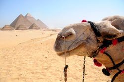 Giza Pyramimds, Cheap holidays to Egypt
