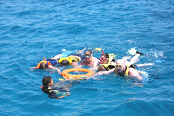 Snorkeling at Ras Mohamed