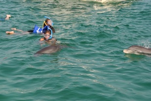 Snorkeling with Dolphins, Marsa Alam Tours